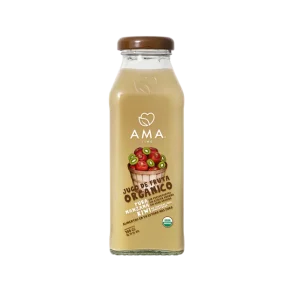 JUGO MANZANA KIWI 12X300ML